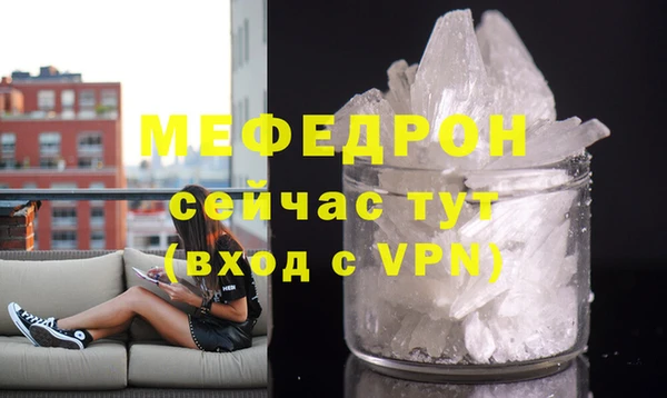 спиды Богданович