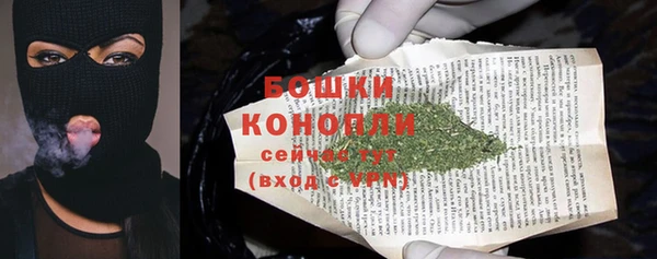спиды Богданович