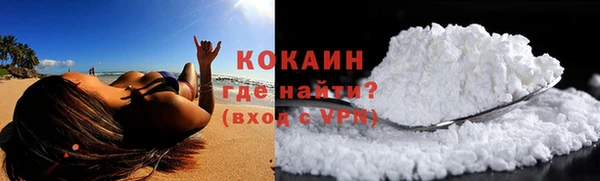 спиды Богданович