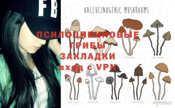 спиды Богданович
