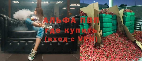 спиды Богданович