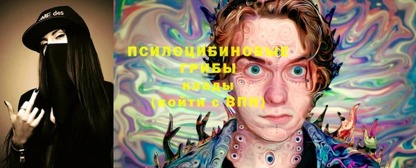синтетический гашиш Богородск