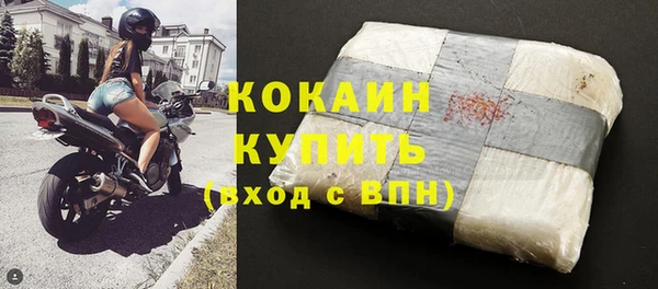 спиды Богданович