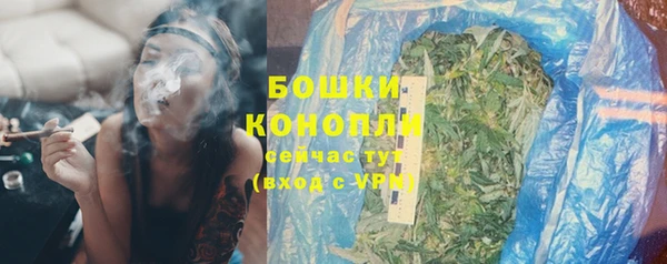 спиды Богданович