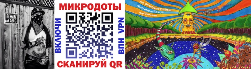 mega зеркало  закладки  Нарткала  Псилоцибиновые грибы Psilocybe 